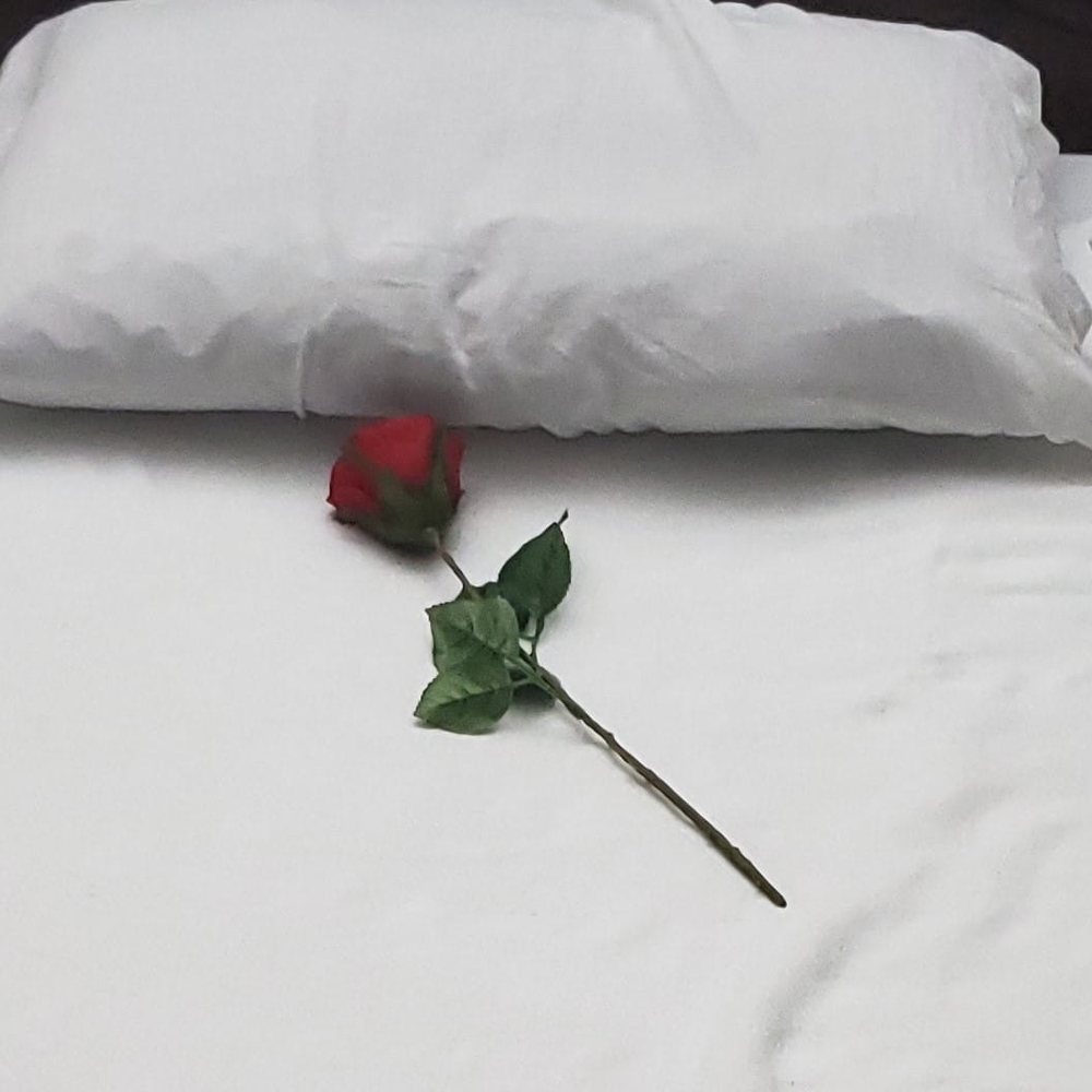 Meet your Posher, Rebecca